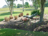 2005/04(April)/Houston/2005-04-16 10-28-37Bay-Oaks-Houston0.JPG